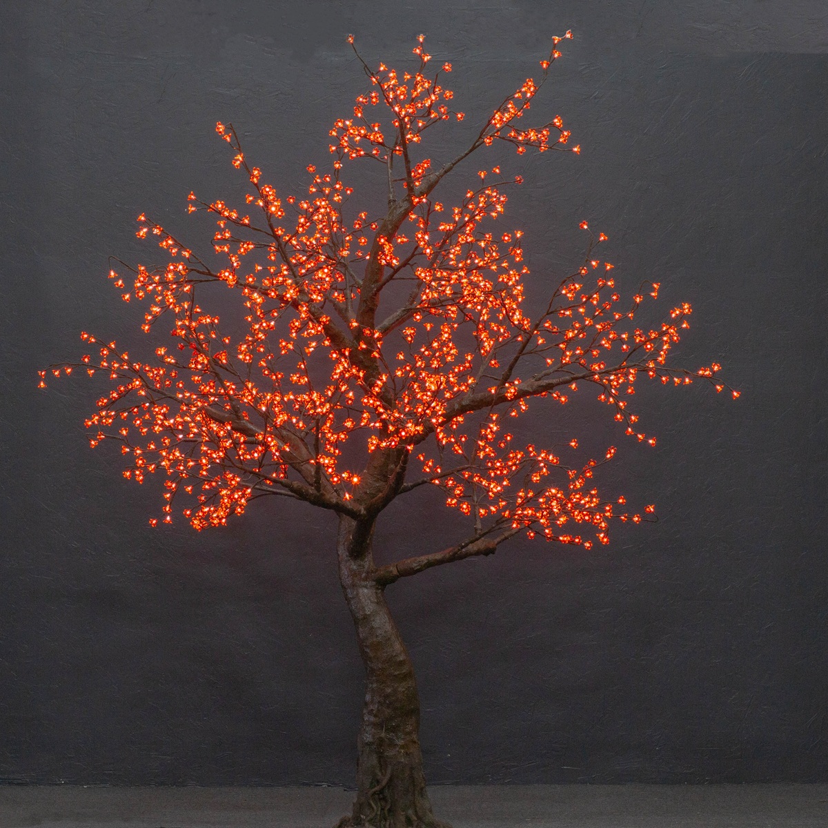 Red Cherry (Standard 9ft)