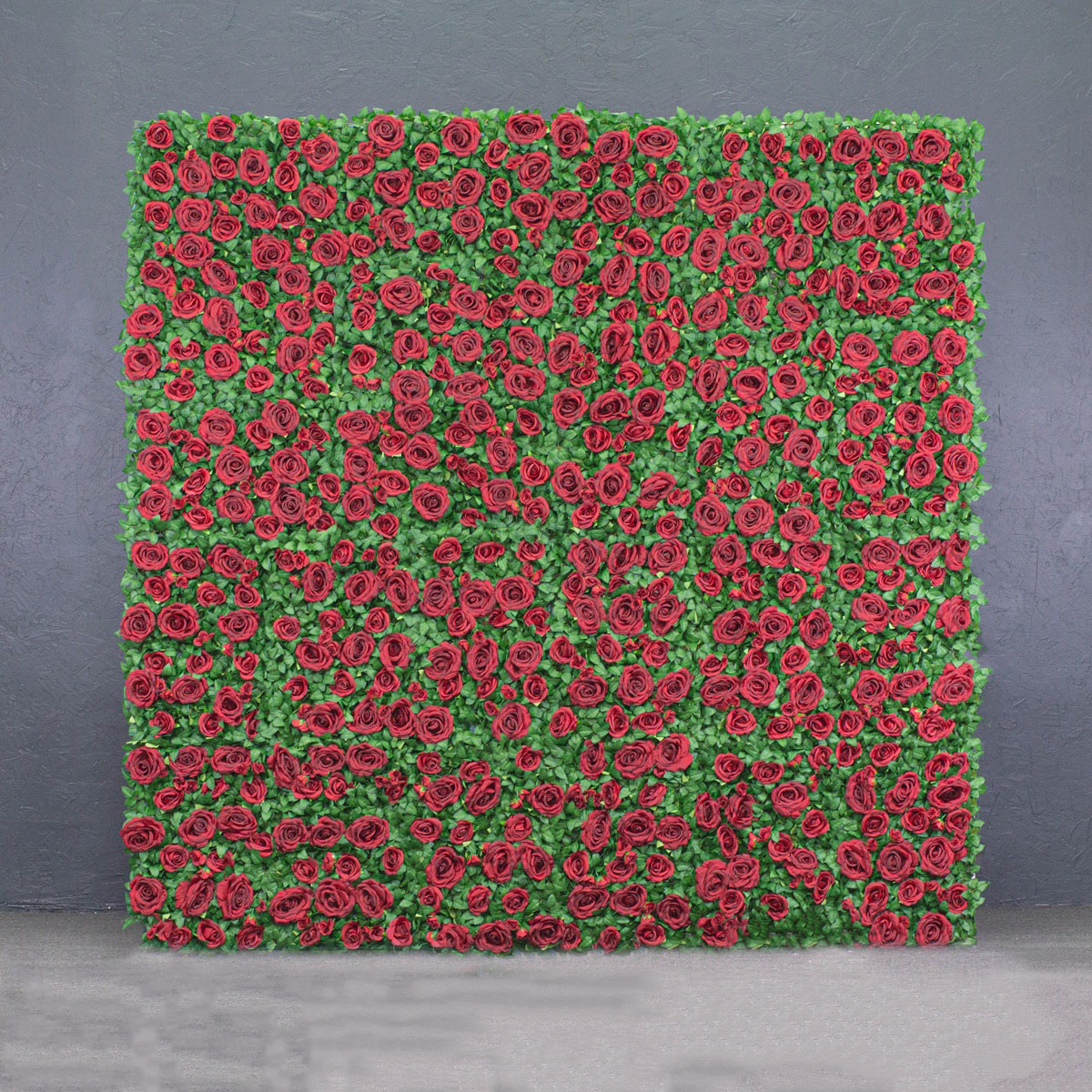 Flower Wall - 8'x8' Garden Rose