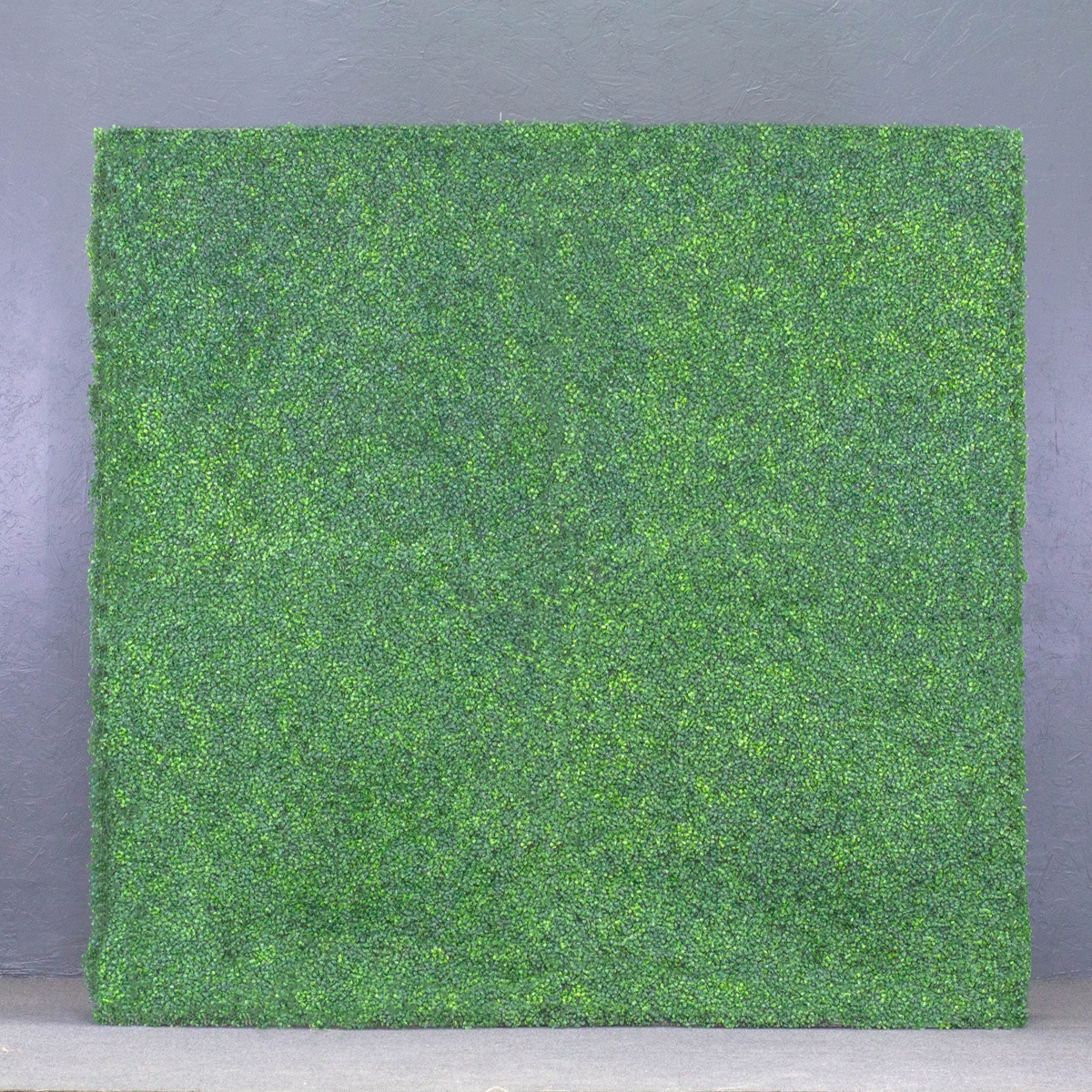 8'x8' Boxwood Wall