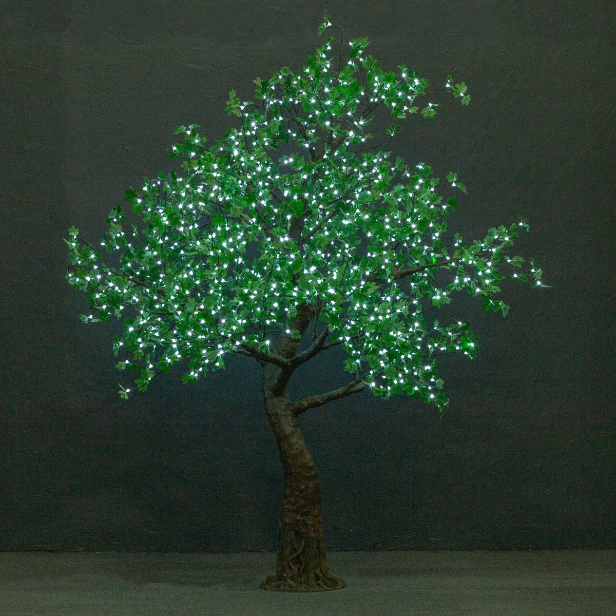 Green Maple (Standard 9ft)