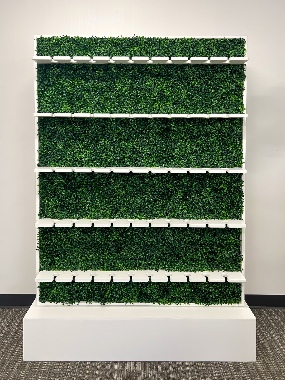 Champange Wall - Boxwood