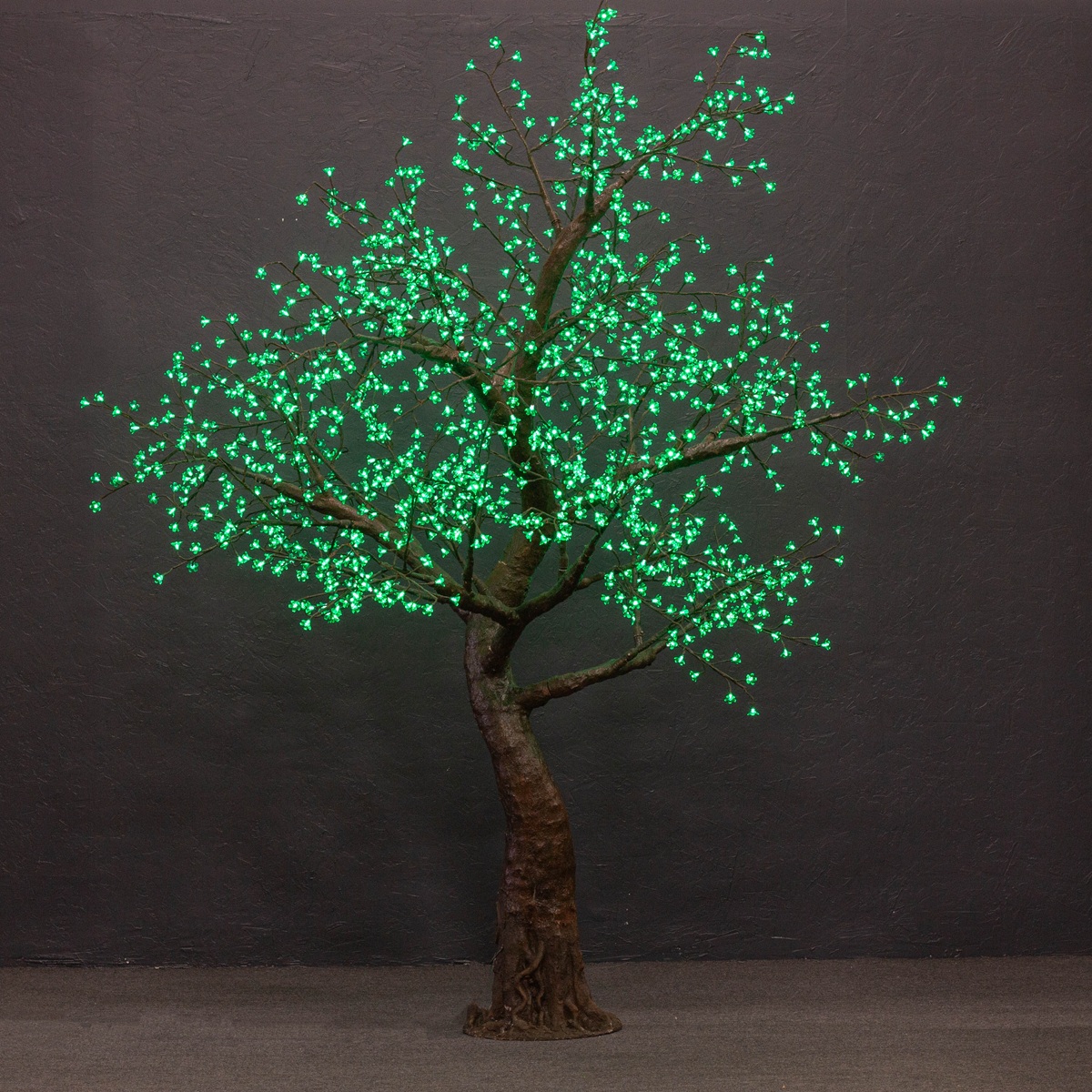 Green Cherry (Standard 9ft)