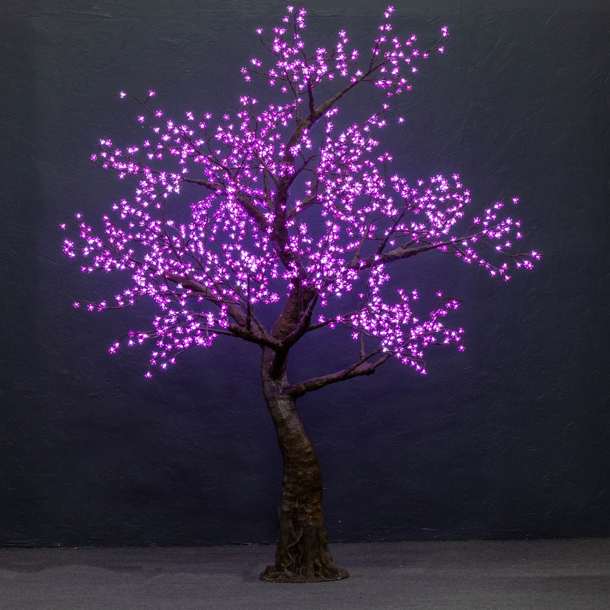 Pink Cherry (Standard 9ft)